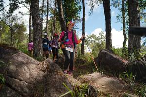 BIB: 
                            <button type="button" onclick="openModal(18945687)" class="btn btn-primary btn-sm float-right btn-popup" data-toggle="modal" data-target=".modal-high-quality">
                        <i class="fas fa-shopping-cart"></i> Add to Cart
                    </button>
                                            <button type="button" onclick="isThisMe(18945687, true)" class="btn btn-success btn-sm float-right btn-popup btn-isme hidden" data-toggle="tooltip" data-placement="bottom" title="นี่คือรูปของคุณใช่ไหม คลิกที่นี่เพื่อเอาเข้าอัลบั้ม">
                        <i class="fas fa-plus"></i> Add to album
                    </button>
                    <button type="button" onclick="isThisMe(18945687, false)" class="btn btn-warning btn-sm float-right btn-popup btn-isnotme hidden">
                        <i class="fas fa-ban"></i> Remove from album
                    </button>